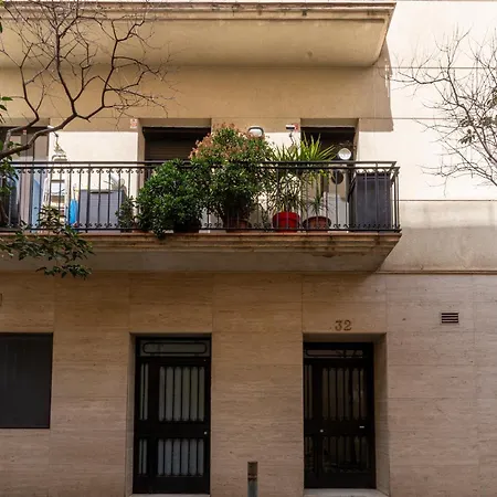 Magnifico En El Centro