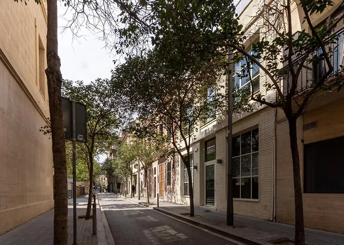 Magnifico En El Centro *